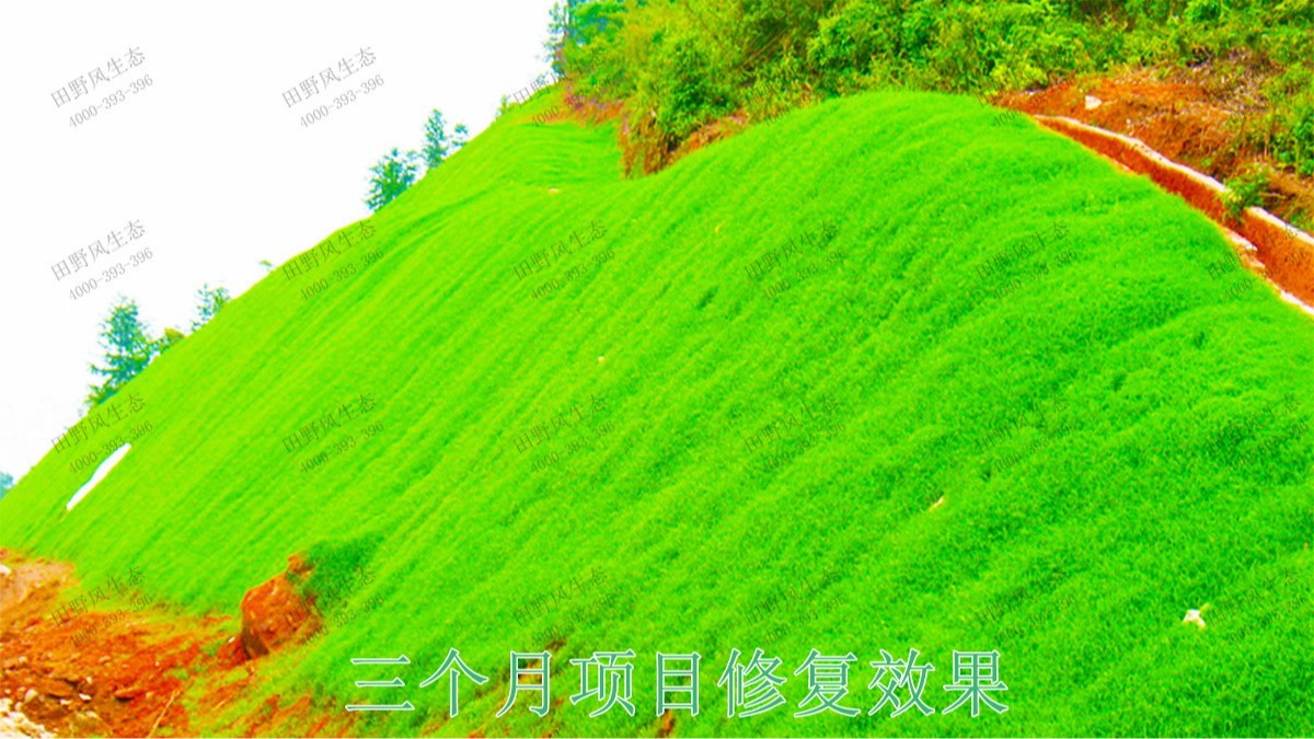 江肇高速四会段公路边坡修复工程