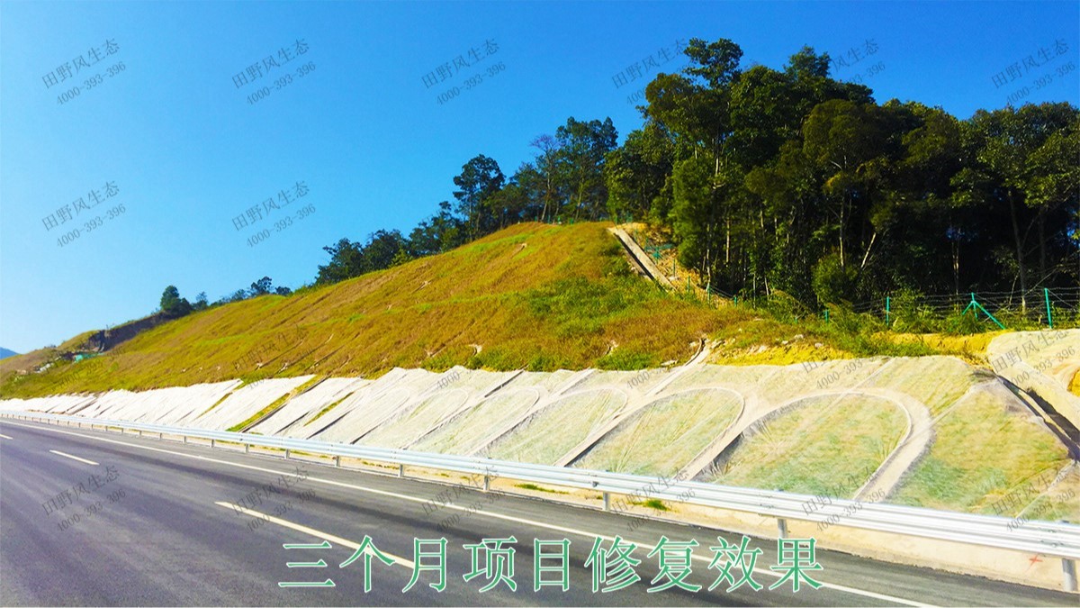 梅龙高速梅州段道路边坡植草工程