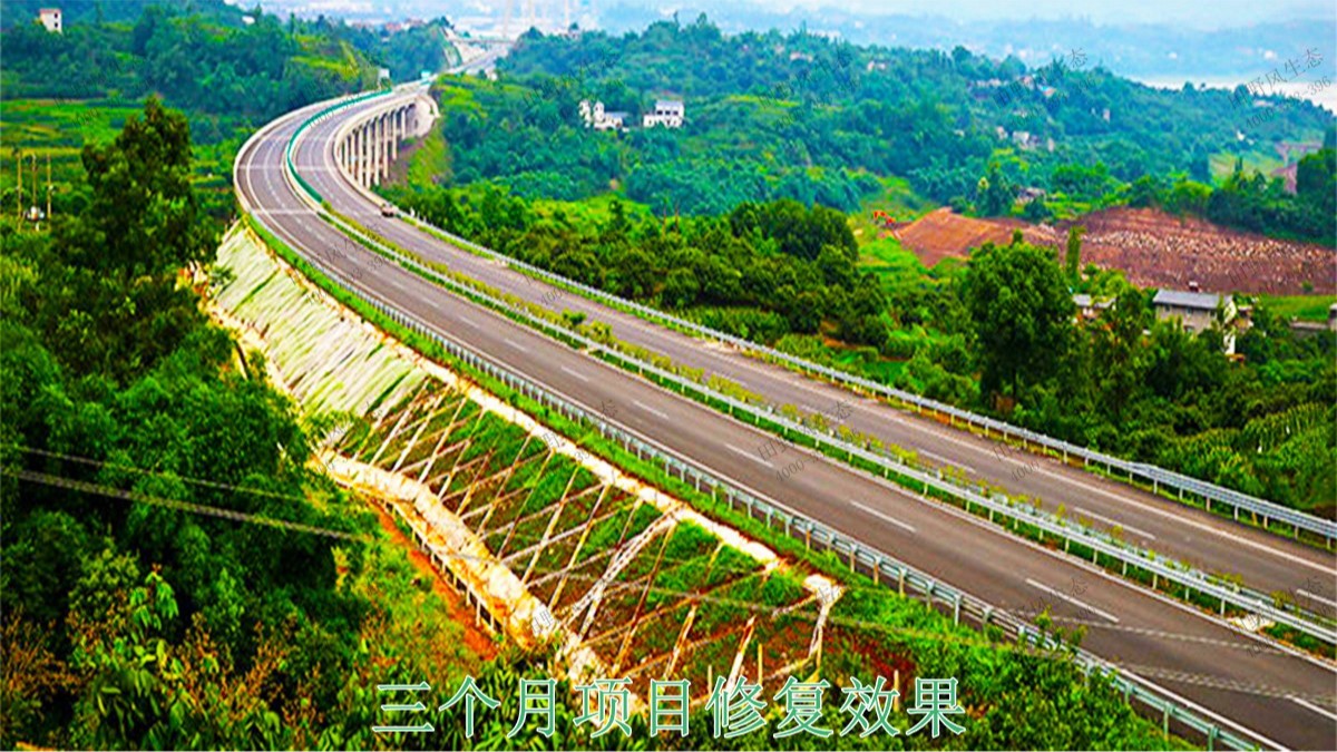 清连高速清远段高速公路边坡复绿工程