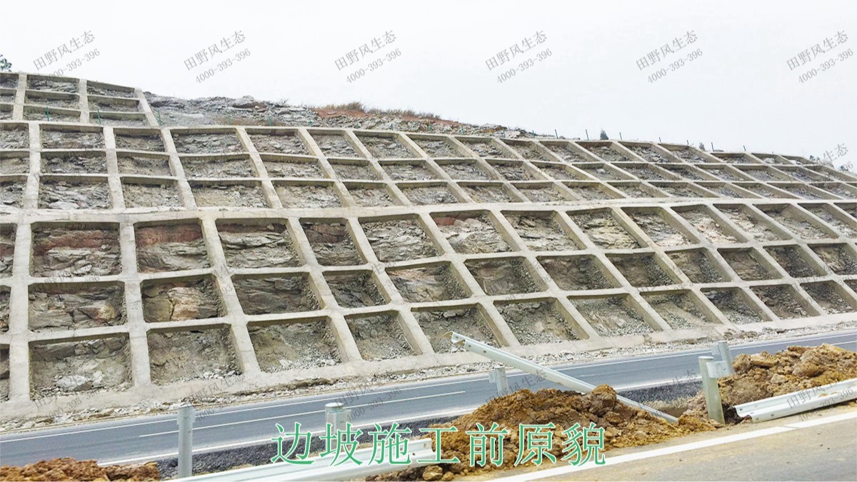 博深高速惠州段高速护坡复绿工程