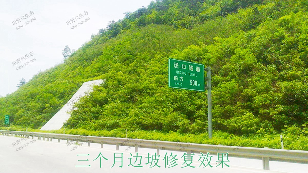 博深高速惠州段高速护坡复绿工程