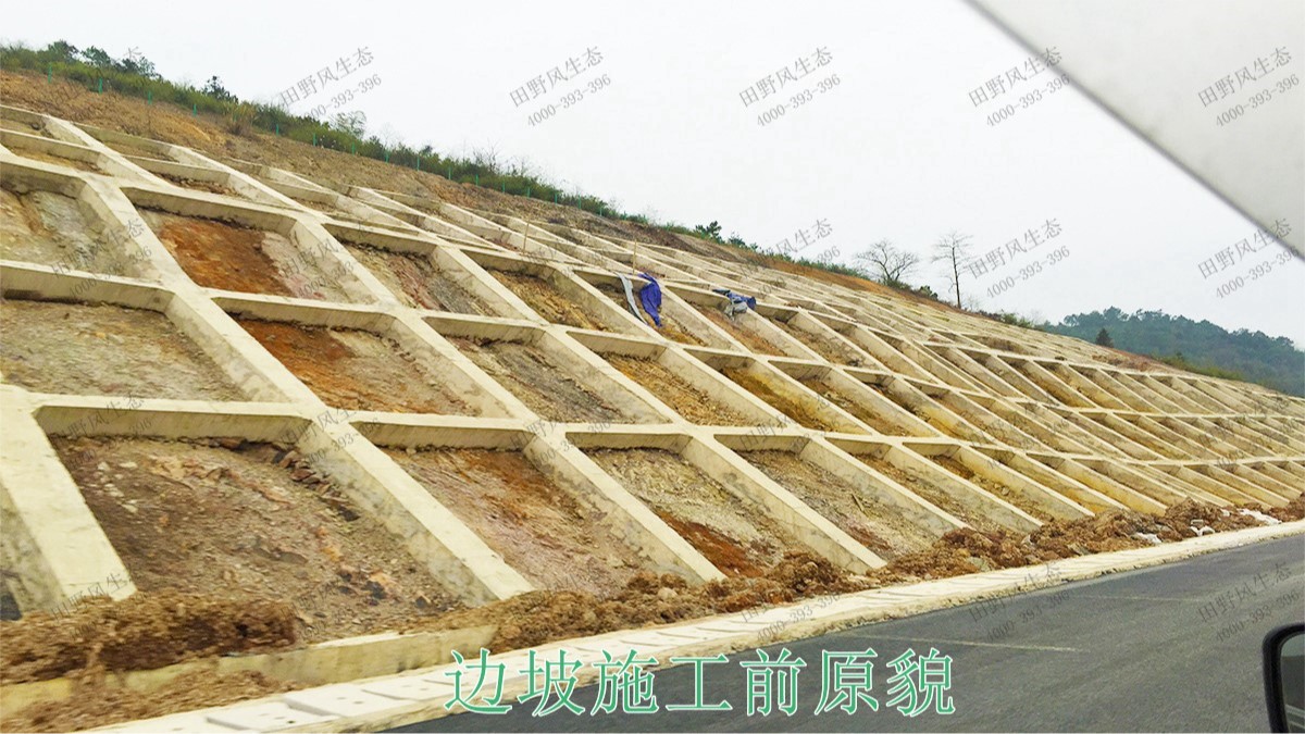 广珠高速中山段公路边坡绿化高速工程