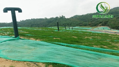田野风边坡绿化施工工艺