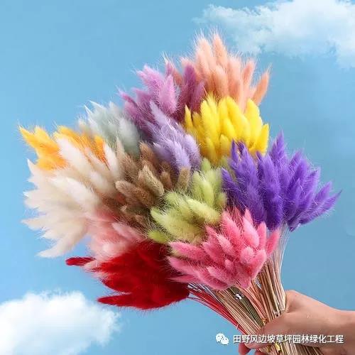 微信图片_20200530093407