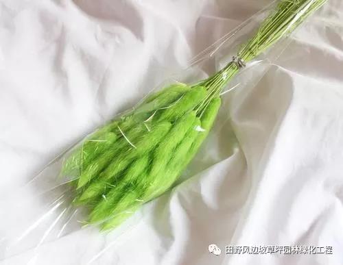 微信图片_20200530093414
