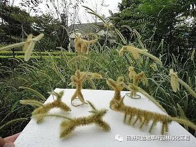 微信图片_20200530093249