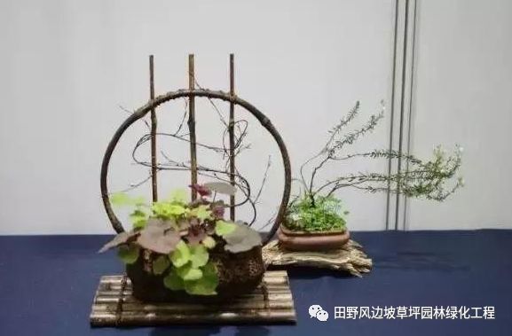 微信图片_20200530172510