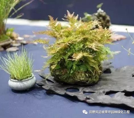 微信图片_20200530172513
