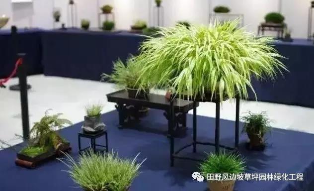微信图片_20200530172523