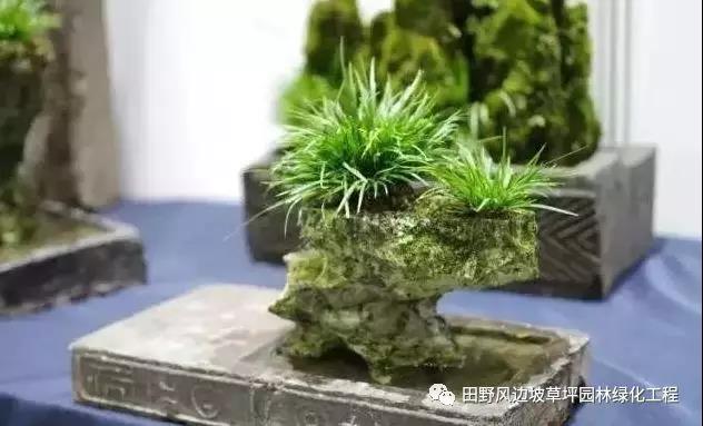 微信图片_20200530172528