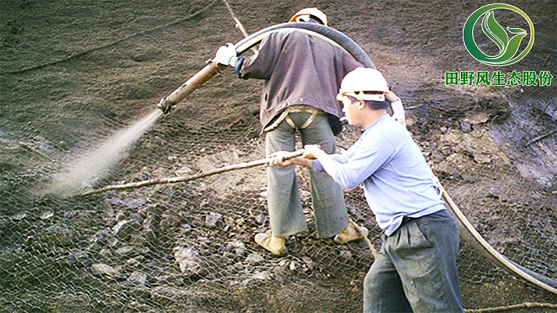 矿山生态修复,植被修复