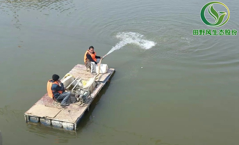 河道生态修复,河道生态护坡