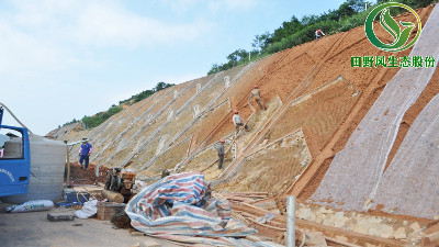 客土喷播植草全方位技术攻克