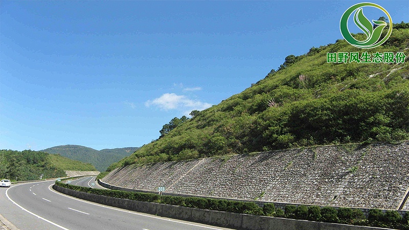 客土喷播植草,边坡绿化