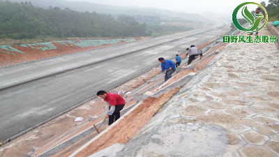 高速公路绿化，有哪些方法与窍门呢？