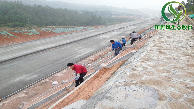 高速公路绿化,高速边坡绿化