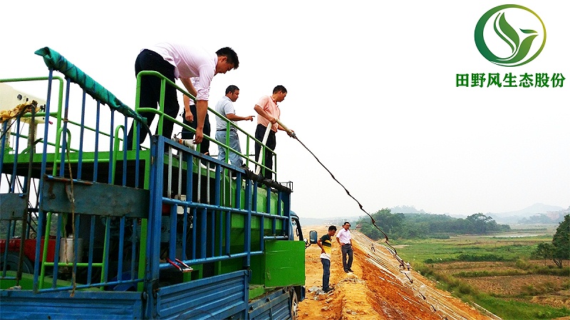 高速公路绿化,高速边坡绿化