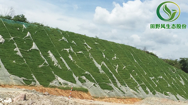 高速公路绿化,高速边坡绿化