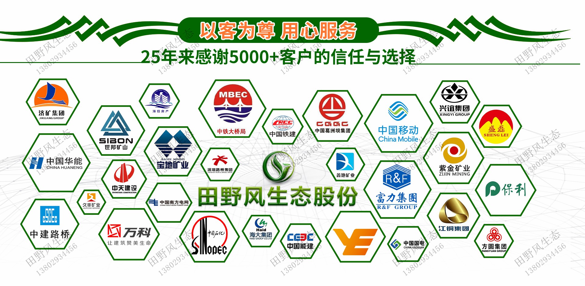 绿化草种