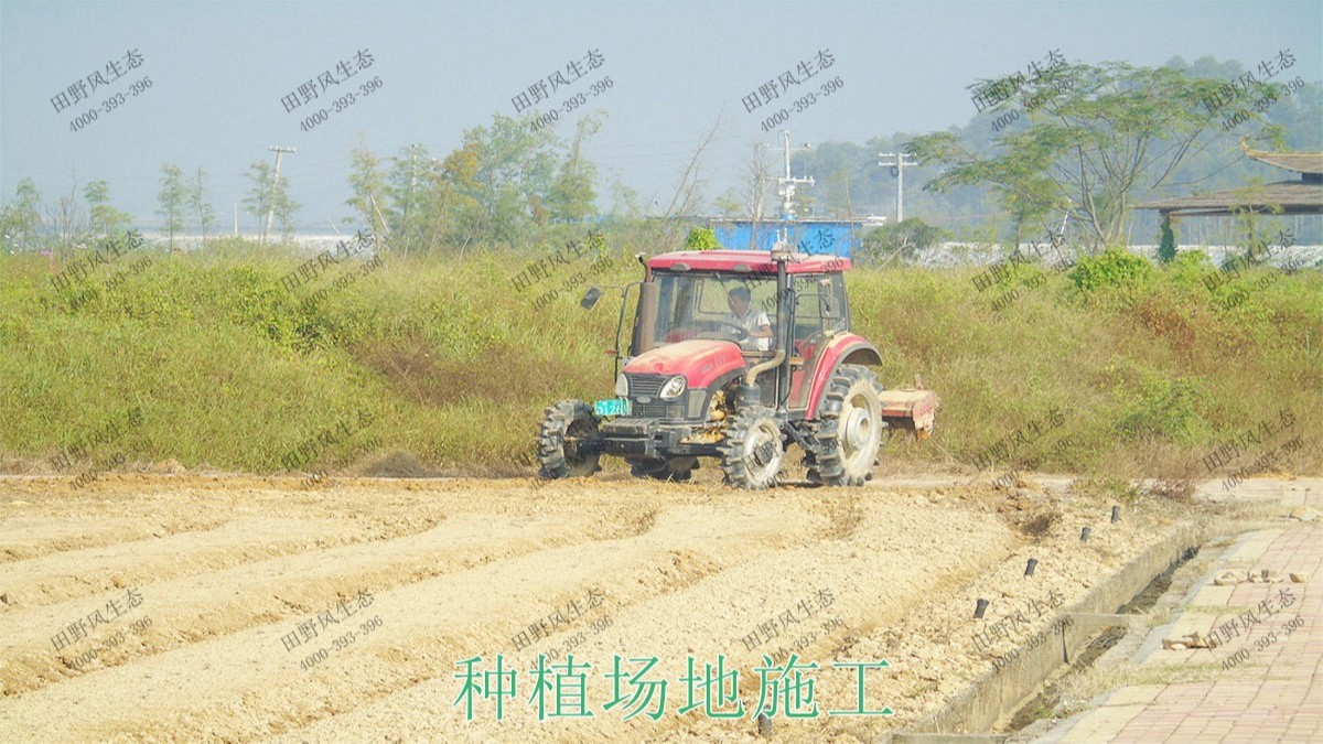 广西北流铜石岭4A景区花海设计