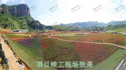 广西北流铜石岭4A景区花海设计