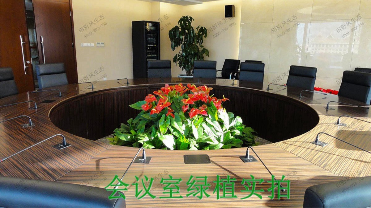 广州市创佳建筑模型公司绿植展示