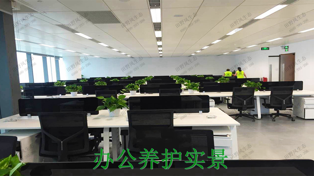 1公司侧门实拍