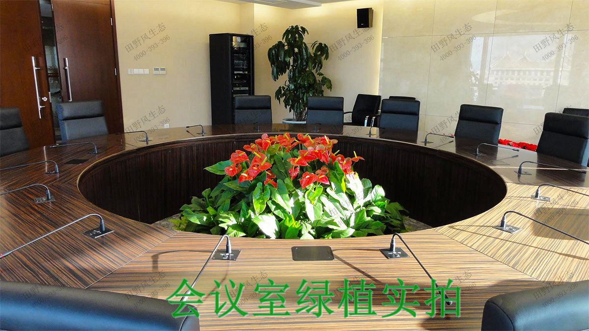 5办公一角实拍