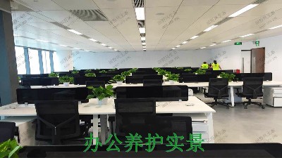 广州市创佳建筑模型公司绿植展示