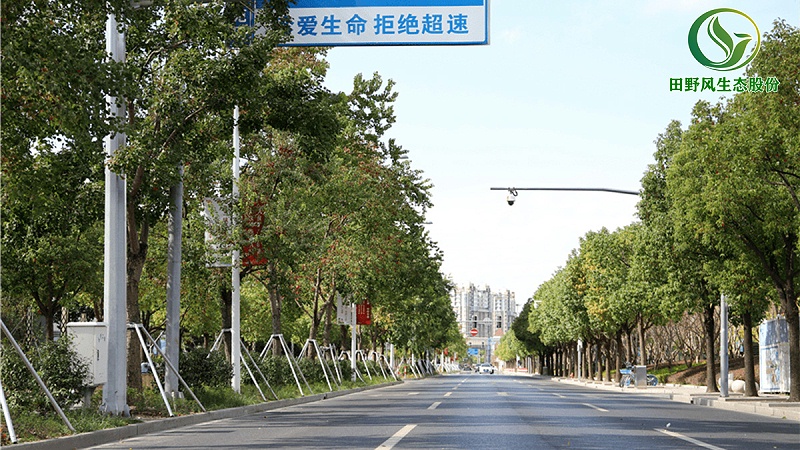 公路绿化,高速公路绿化