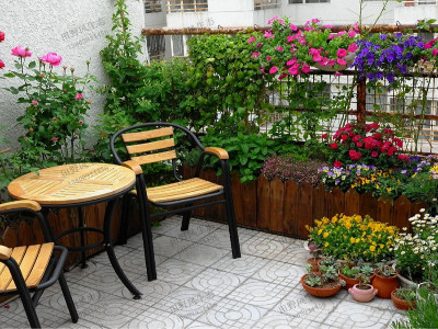 你确定你会给花施肥吗？
